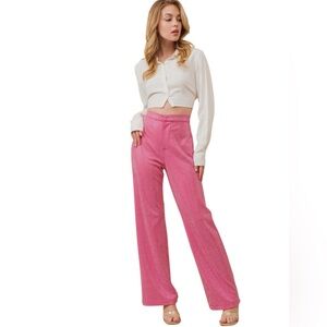 NEW blue b Hot Pink Allover Silver Rhinestone Vertical Striped Pants Trousers